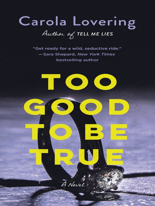 Title details for Too Good to Be True by Carola Lovering - Wait list
